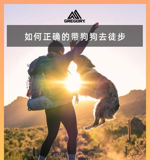 狗狗倒吸气的注意事项（保护宠物健康，预防狗狗倒吸气的关键要点）