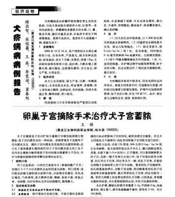 子宫蓄脓的药物治疗方法详解（了解子宫蓄脓治疗中的关键药物及其作用机制）