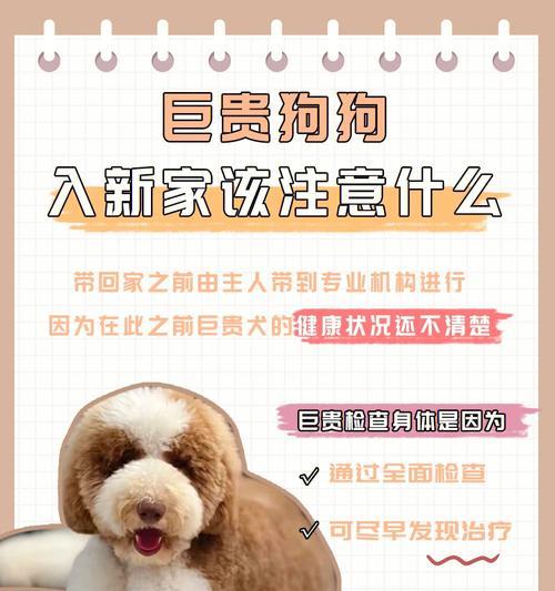 狗刨腹后的注意事项（保护宠物狗的健康）
