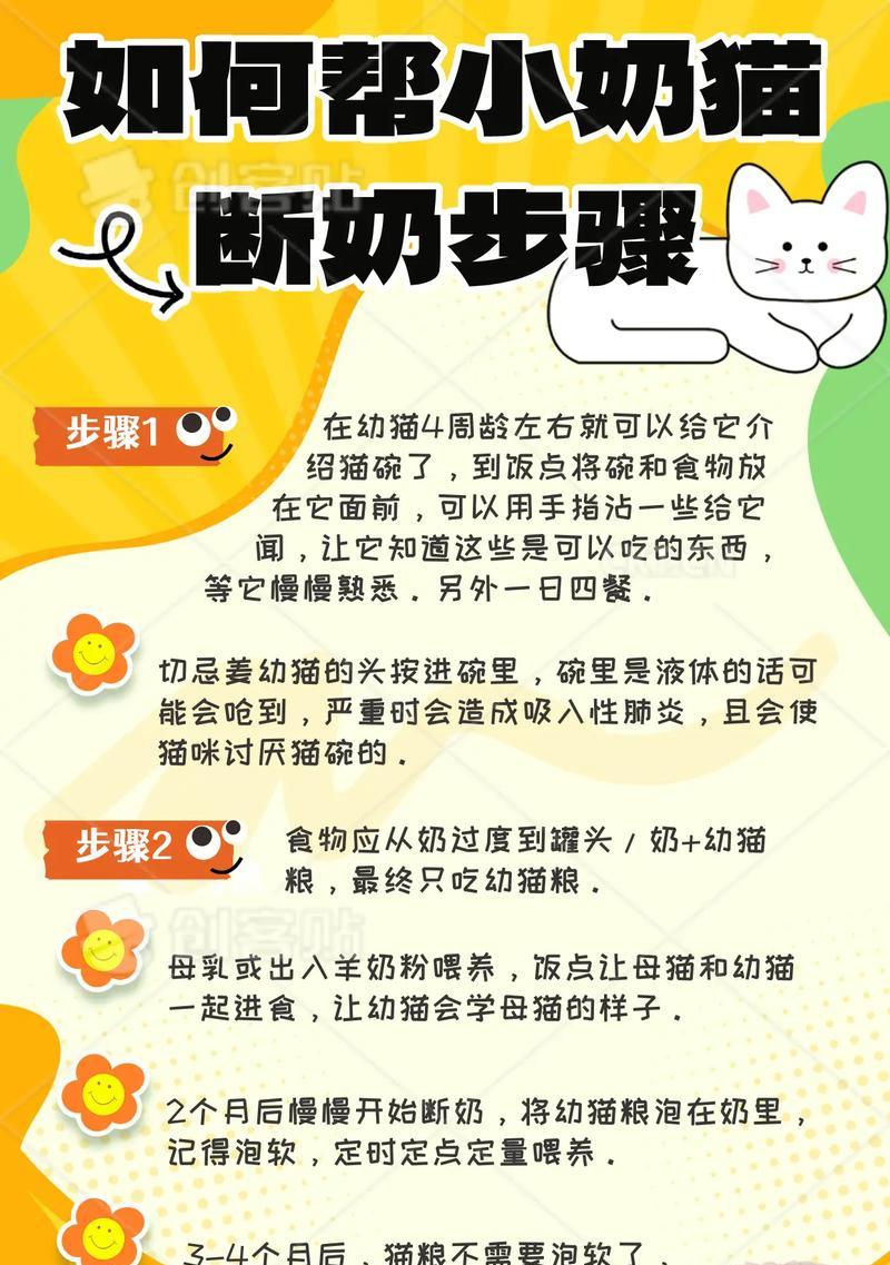 小猫未断奶期间应该吃什么奶？（了解小猫断奶前后的饮食需求及注意事项）