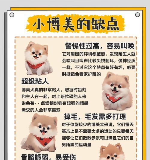 如何为博美取一个好听的名字（寻找完美名字的关键是什么）