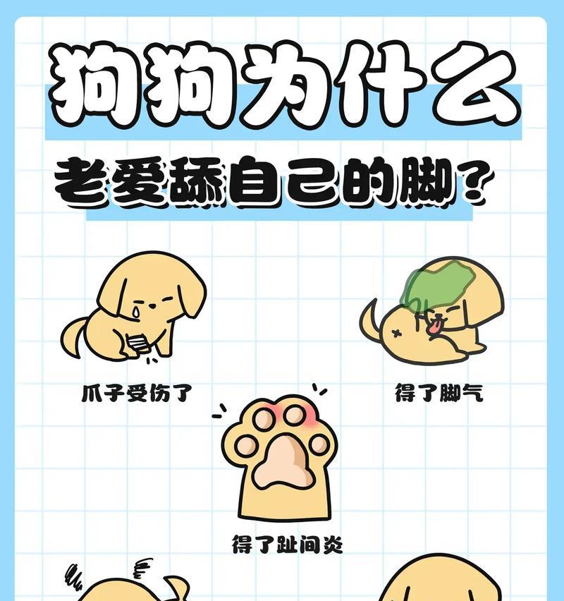 狗为什么舔幼崽（狗舔幼崽的原因及意义）