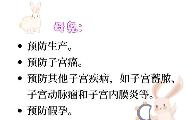 兔子的神奇功效（探索兔子的健康与美容秘密）