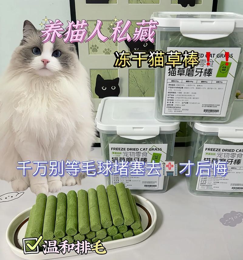 如何选择适合猫磨牙的道具（为你的猫咪提供理想的牙齿磨砂体验）