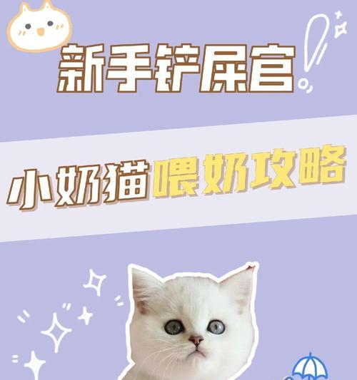 没长牙的小猫如何合理饮食（为你的小猫提供适宜的食物选择）