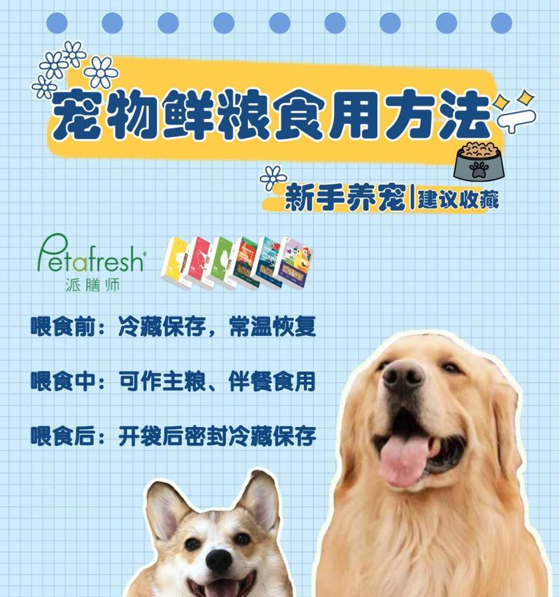 狗狗什么时候换幼犬粮？（了解宝贝狗狗的营养需求，选择合适的饮食计划）