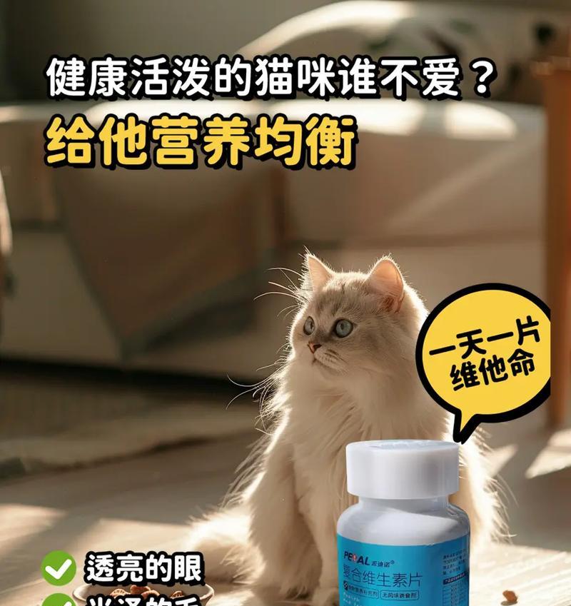 猫咪健康所需的营养（全面满足猫咪的营养需求，保持其健康成长）