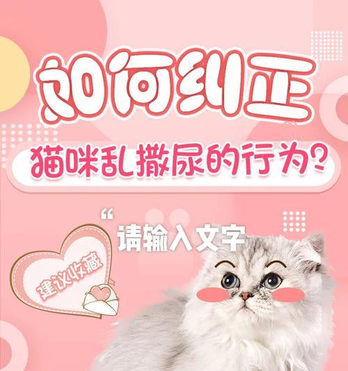 冬天为什么母猫会乱撒尿？（揭开母猫冬季乱撒尿的谜团）