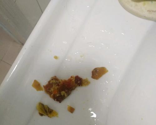 狗为什么不能吃番薯（探寻番薯对狗的危害及其原因）