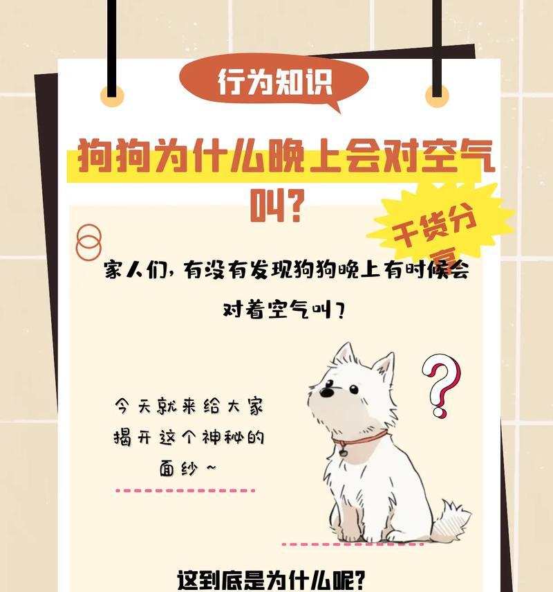 狗狗之乐（狗狗的叫声为什么如此重要？狗主人们需要了解的关键因素）