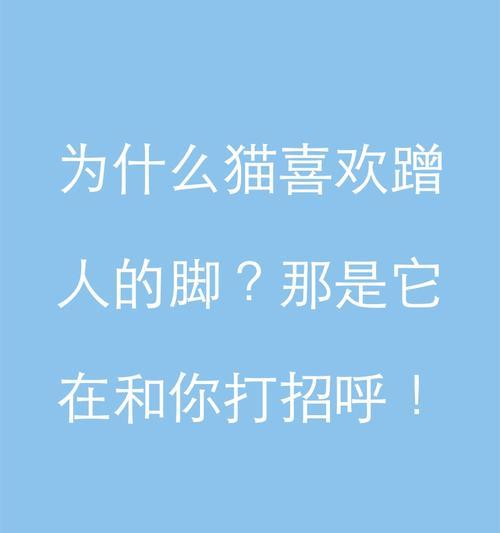 为什么猫喜欢舔脚？（探究猫咪舔脚的原因和意义）