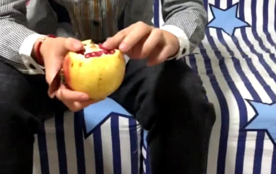 金毛犬的饮食禁忌（了解金毛犬不能吃的水果，保护它的健康）