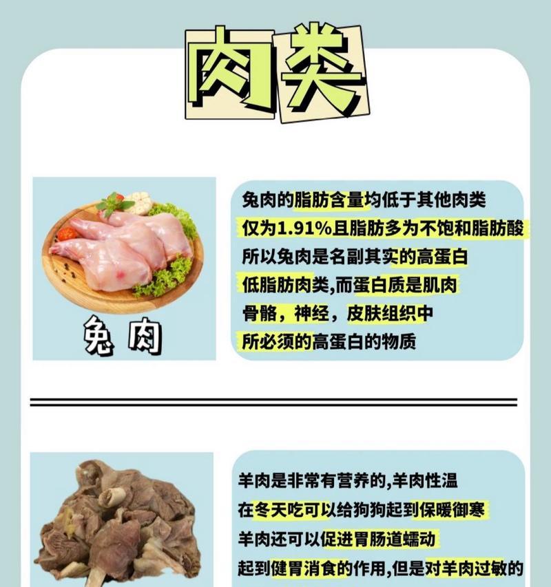 幼狗的饮食需求及适宜食物选择（为幼狗提供健康的饮食，关键在于多样化和均衡）