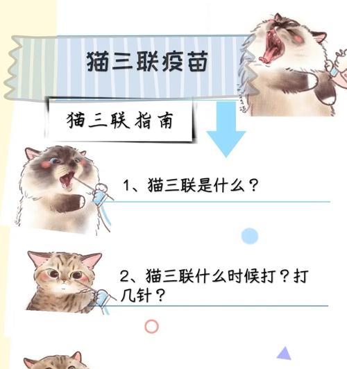 猫疫苗第三针的重要性及意义（全面保护猫咪健康的必要措施）