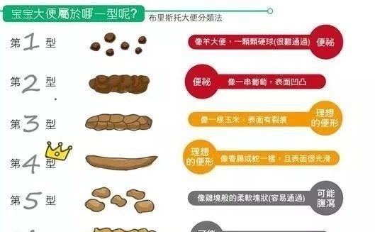 贵宾犬感冒便便的颜色与健康状况（揭秘贵宾犬感冒便便颜色的隐藏健康信号）
