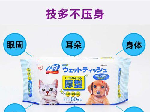 猫咪卫生小贴士（选择合适的工具和方法，让你的猫咪干净舒适一整天）