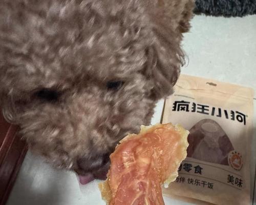 狗狗和零食的玩乐之旅（探究狗狗对零食的喜爱与玩耍方式）