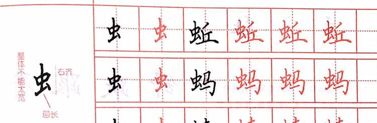 探寻以虫和宾的奥秘（解密字形起源与演变）