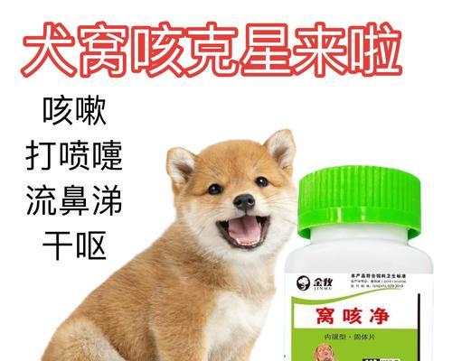 狗狗感冒了，饮食注意些什么？（宠物狗狗感冒的原因、饮食调理方案以及预防措施。）