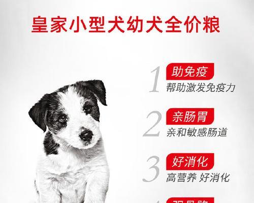 狗狗的实惠增肥食谱（用这些经济食材让你的狗狗健康长胖）