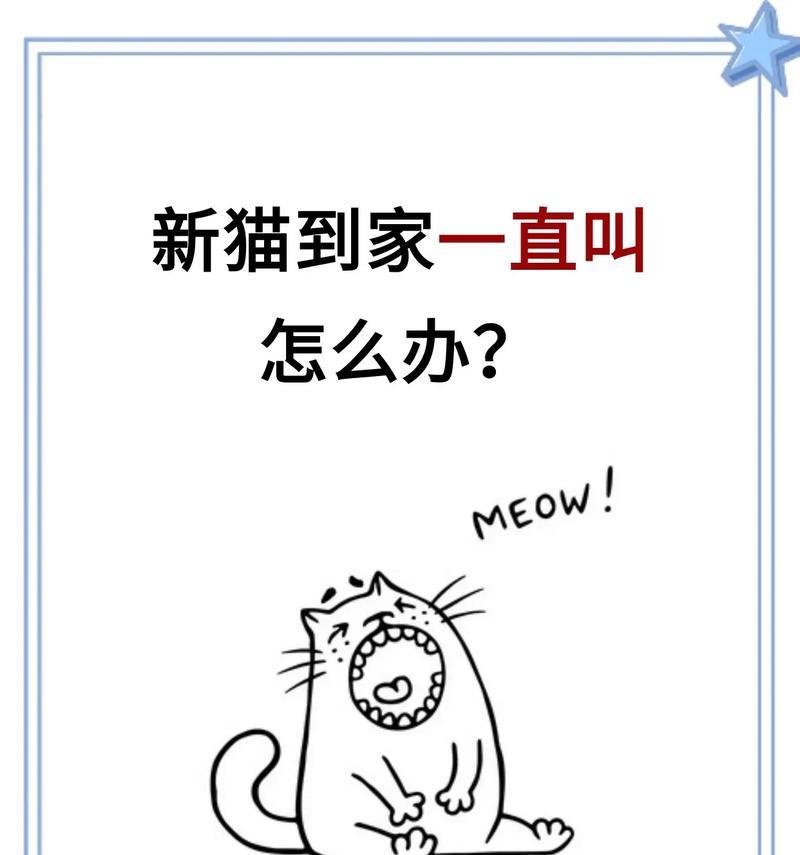 小猫为何不断叫唤？（探寻小猫叫唤背后的原因）