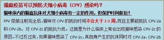 为何细小致死率居高不下？（揭秘细小致死率高的原因及预防措施）