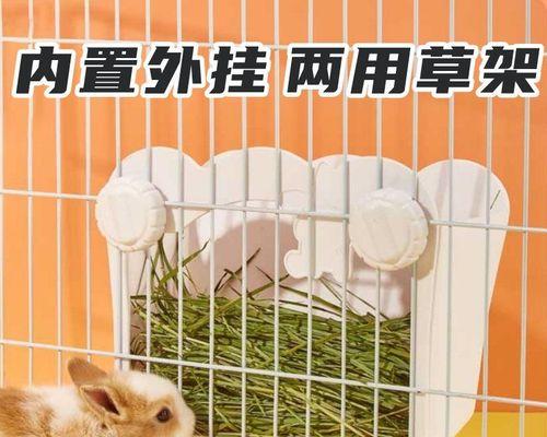 如何正确喂养宠物兔（兔子喂养的注意事项及营养需求）