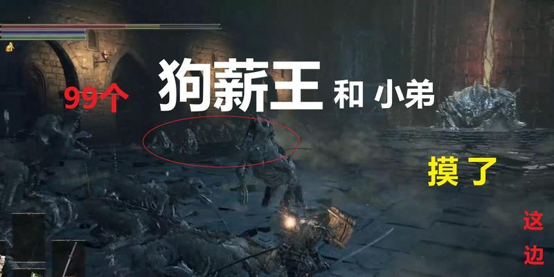 狗扒墙的原因及解决方法（探究狗扒墙的动机与提供有效的解决方案）