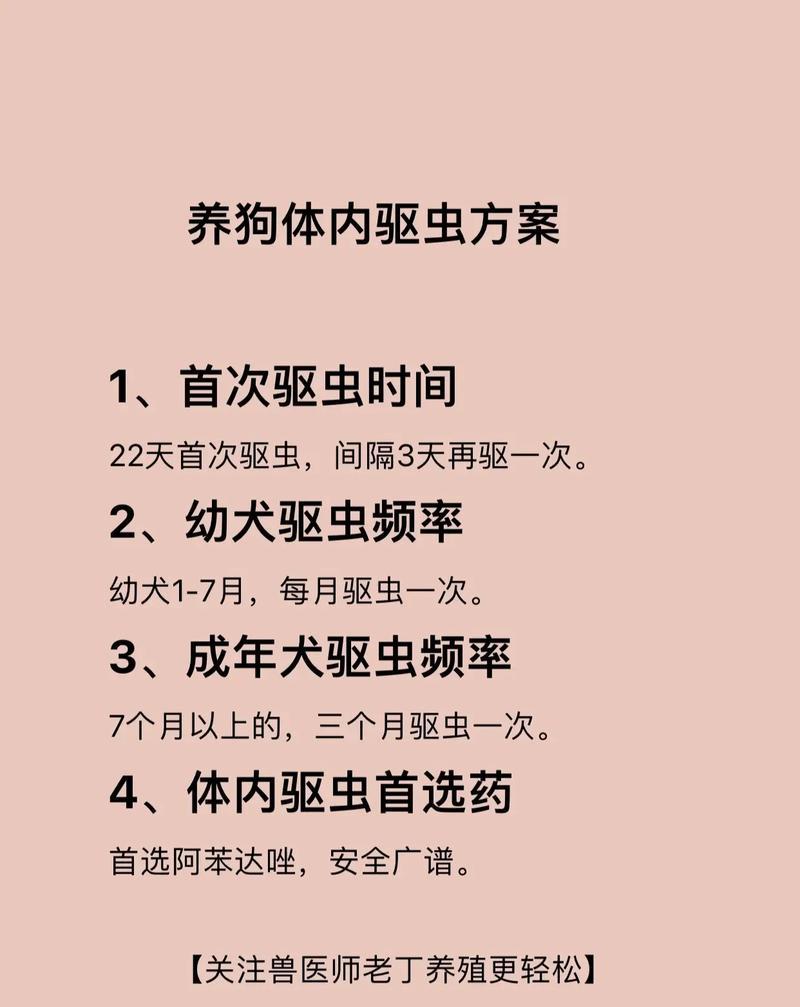 如何治疗狗狗吐蛔虫（掌握正确药物及食物方法，为您的狗狗解除困扰）