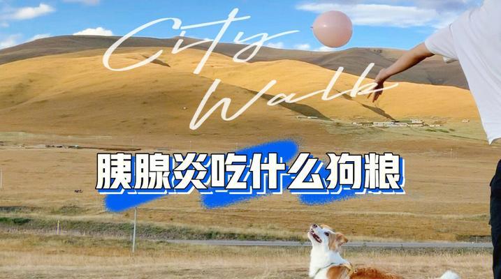 小狗的饮食秘籍（小狗吃什么不长个？解锁健康成长的关键）