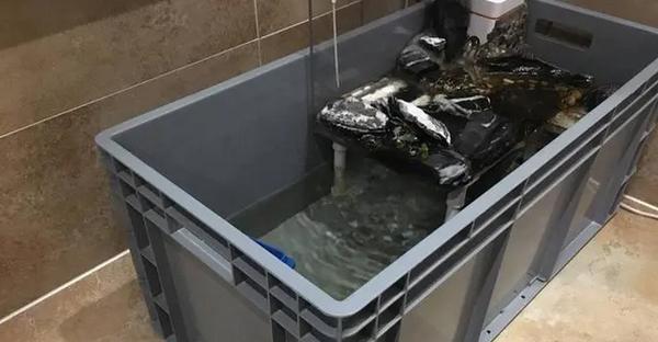 如何选择合适的容器来养白唇龟？（探索白唇龟合适的居住环境与养殖需求）