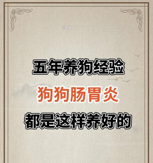 治疗狗狗肠炎拉稀的药物及注意事项（选择合适的药物是关键，快速恢复狗狗的健康）