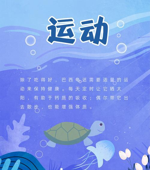 了解以巴西龟的喜好，打造它们的理想家园（探索巴西龟的喜爱，为它们创造快乐生活）