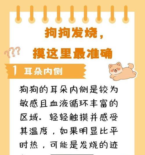 狗发烧的常见症状及应对方法（了解狗的发烧症状，保护你的忠诚伙伴）