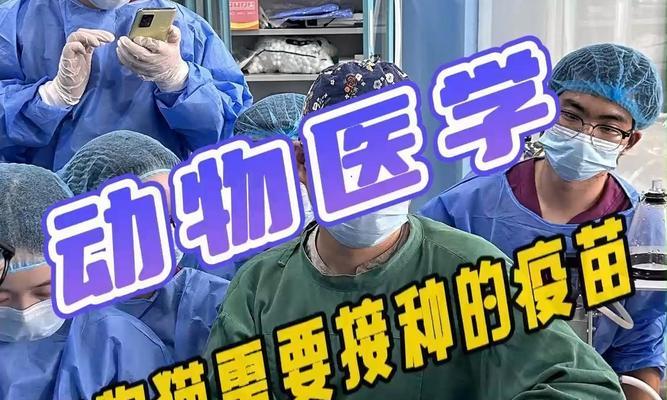 为什么猫疫苗需要三针？（猫疫苗接种次数与免疫效果有何关联？）