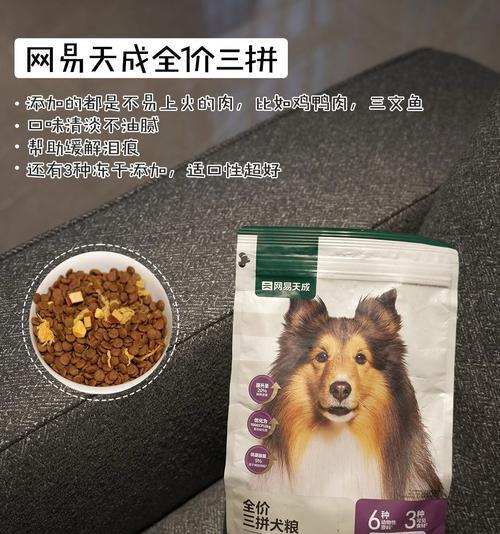 3个月比熊的合理饮食安排（探索适合小比熊的营养食谱及喂养技巧）