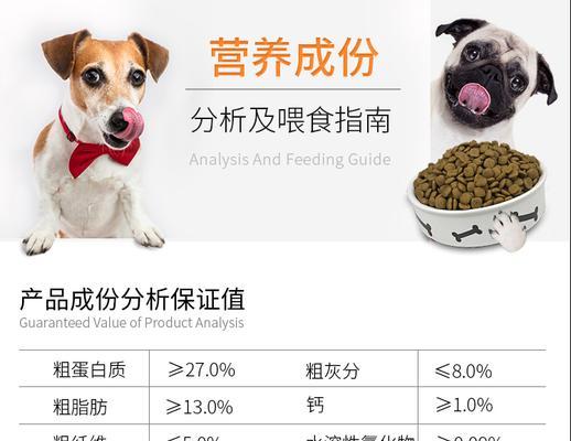贵宾犬怀孕期间的饮食需求（了解贵宾犬怀孕期间的营养需求及饮食安排）
