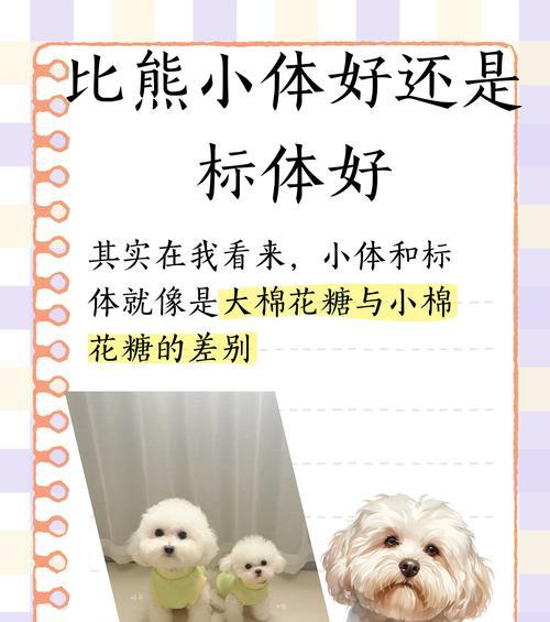 比熊犬怀孕18天的变化——从受孕到胚胎发育的奇迹（揭秘比熊犬怀孕早期的症状和胚胎发育过程）
