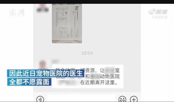 狗被开水烫伤后如何处理（有效药物和护理方法帮助狗烫伤康复）