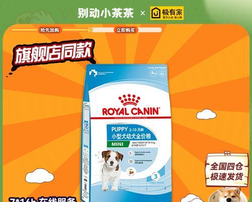 腊肠犬的理想狗粮选择（为你的腊肠犬提供健康饮食的关键）