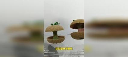 仓鼠的牙齿磨损与健康（探索仓鼠的牙齿磨损时间及保持健康的方法）