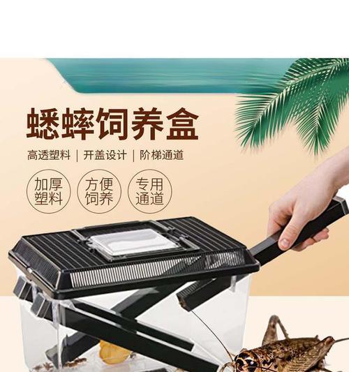 以蛐蛐用什么容器养？（选择适合蛐蛐的养殖容器，关键在于环境和舒适度。）