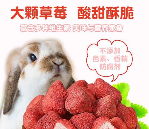 龙猫胀气症状及治疗方法（解读龙猫胀气的原因和预防措施）
