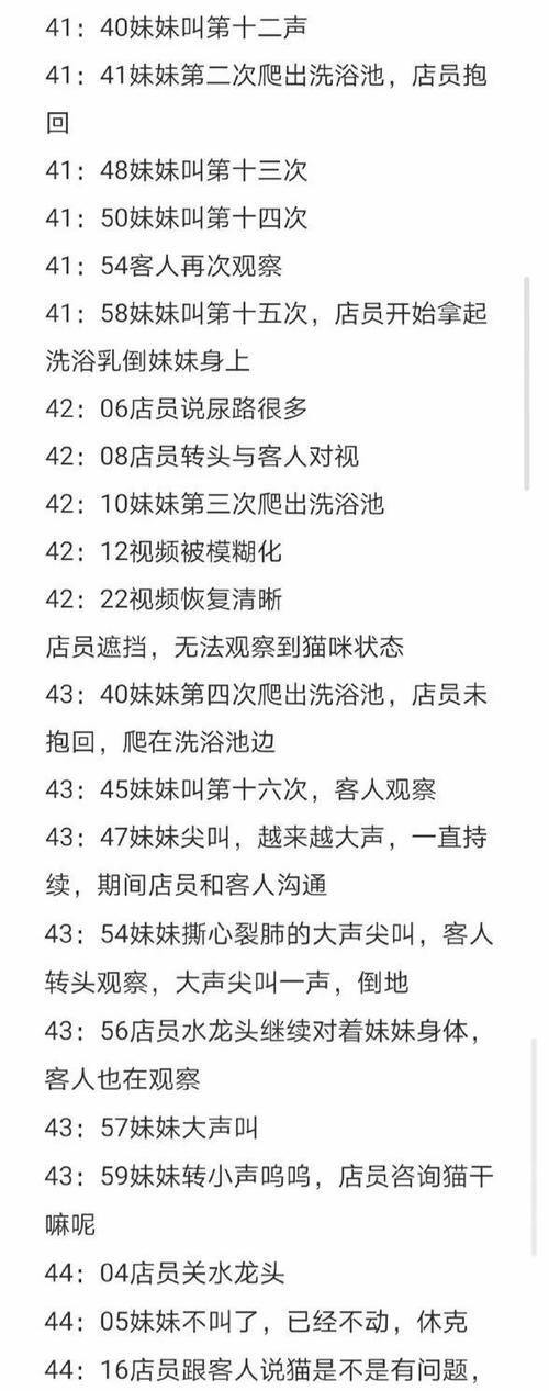 猫的悲剧（揭示人类与动物之间的紧密联系与责任）