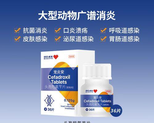 狗狗胃炎常见症状及治疗方法（胃炎药物治疗的关键——早期诊断与综合治疗）