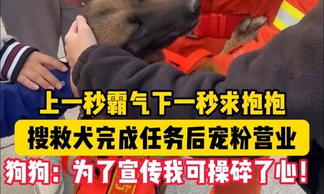 狗狗乞求抱抱的迷人表现（探寻狗狗求抱抱的行为特征及其背后的含义）