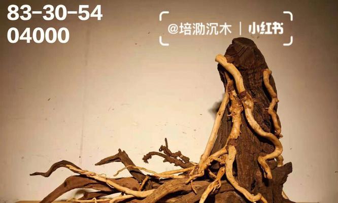 利用沉木打造独特水族箱的魅力（沉木水族箱的养殖乐趣与技巧）