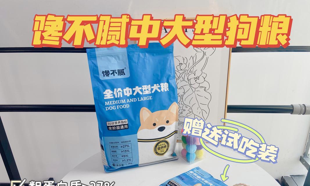 金毛犬2个月左右适合什么狗粮？（了解金毛犬的食物需求，给它健康成长！）
