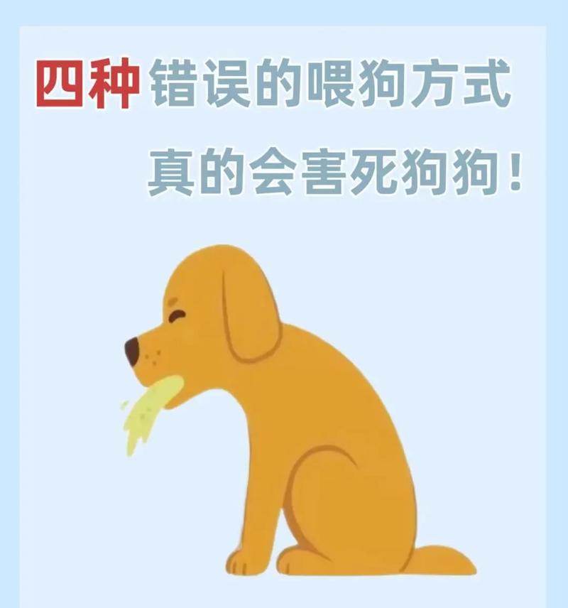 探究狗狗经常呕吐的原因及解决方法（揭秘狗狗呕吐的常见毛病和预防措施）