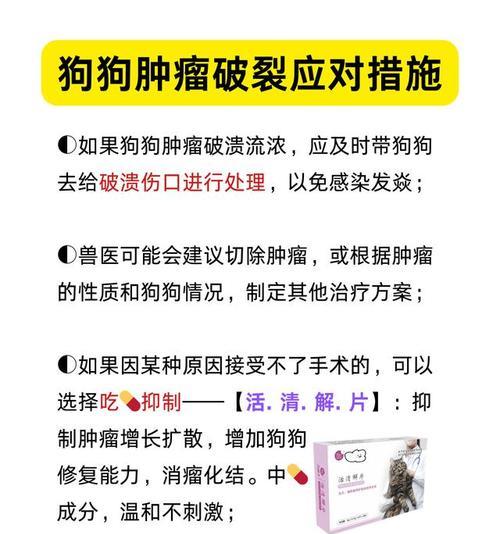 如何用药物帮助狗狗消炎？（探索狗狗伤口消炎的有效药物及方法）